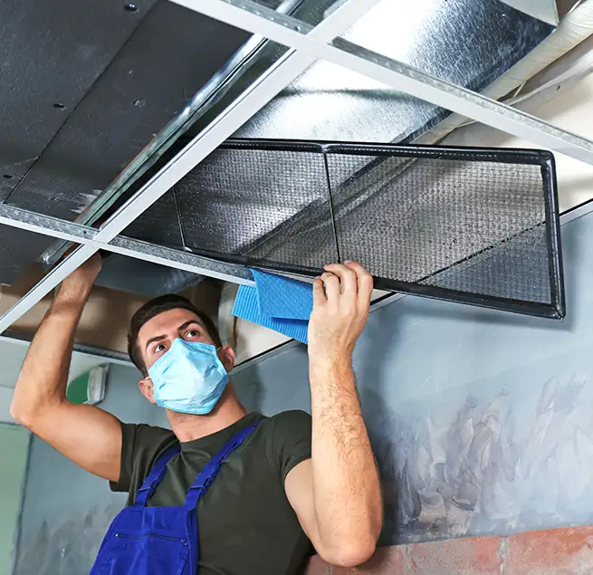 Why Homeowners & Businesses Trust Us in Egypt Lake-Leto, FL?